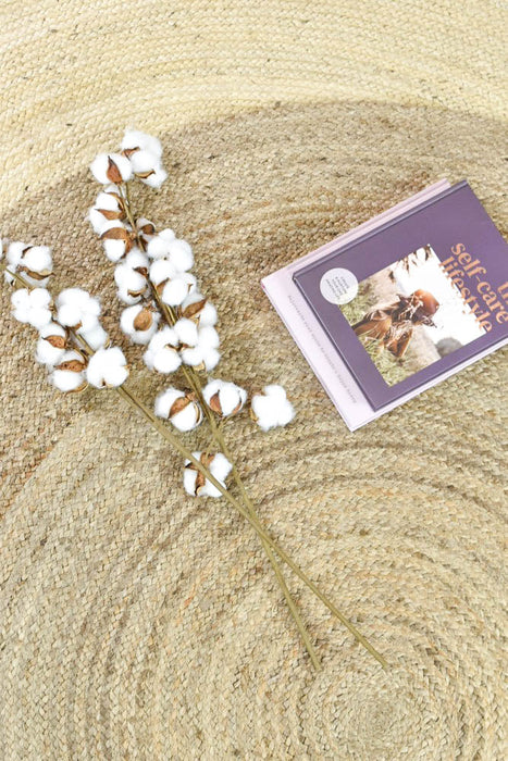 Anglo Jute Natural