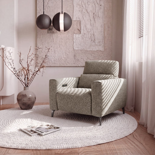 Denzel Single Fabric Electric Recliner in Earth