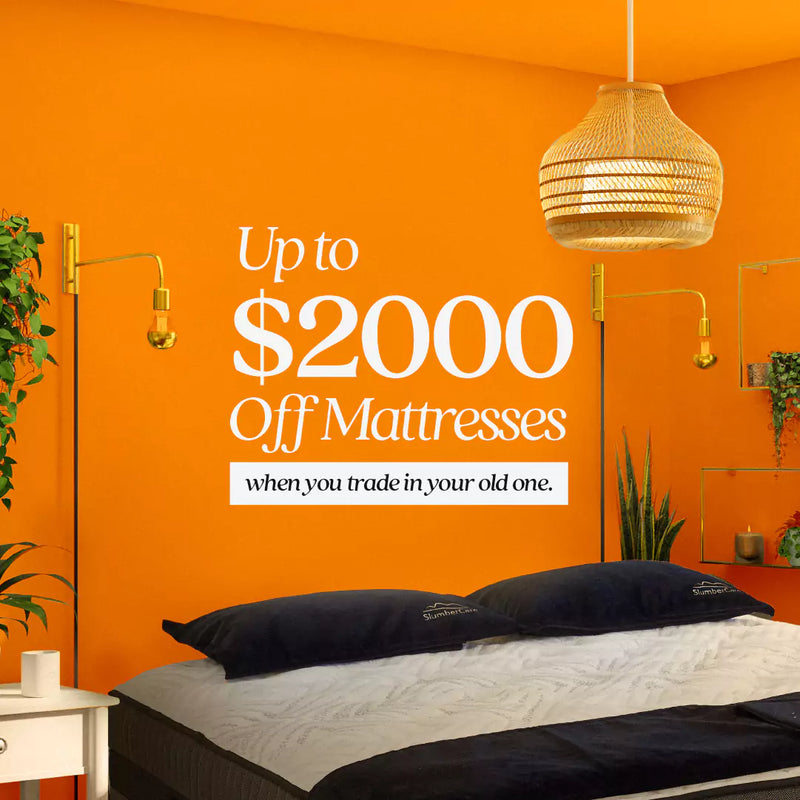 Furniture Stores Perth Furniture Perth, WA Furniture Bazaar