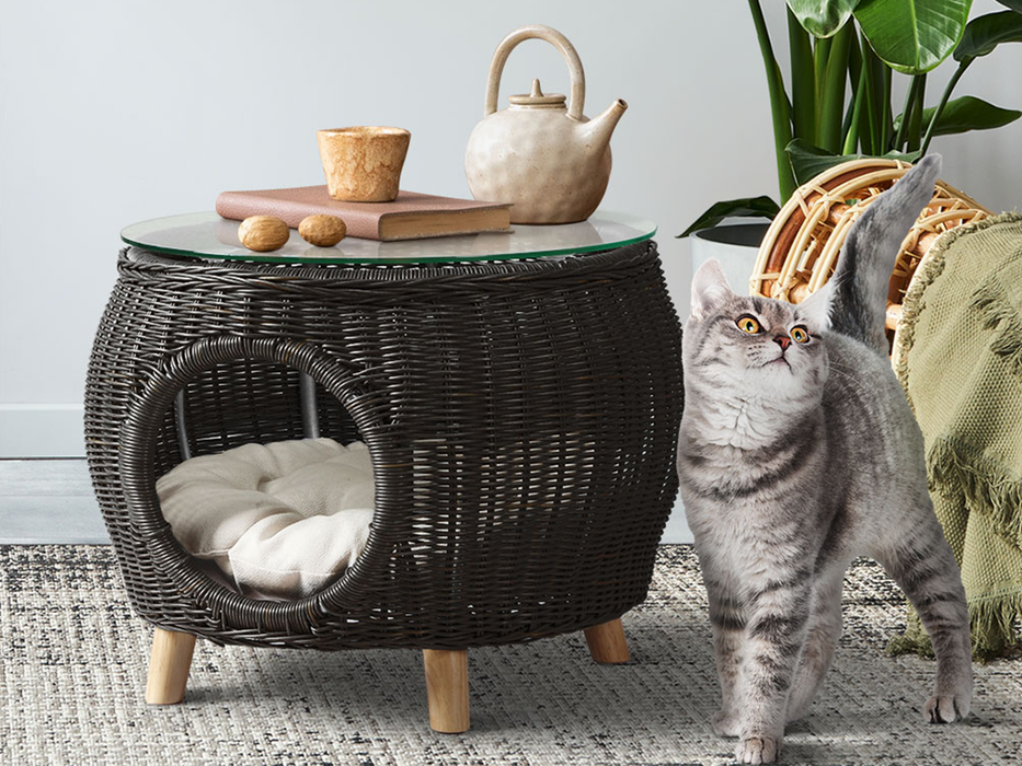 Anastasius Coffee Table + Pet Bed